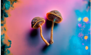 How psilocybin, the psychedelic in mushrooms, may rewire the brain to ease depression, anxiety and more