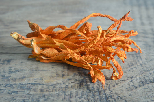 Unraveling the Health Benefits of Cordyceps Mushrooms