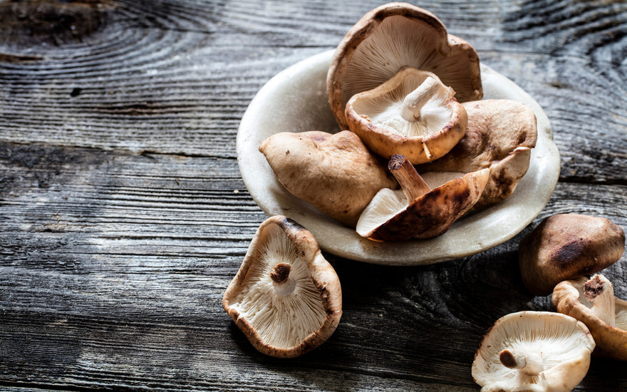 The Remarkable Health Benefits of Shiitake Mushrooms