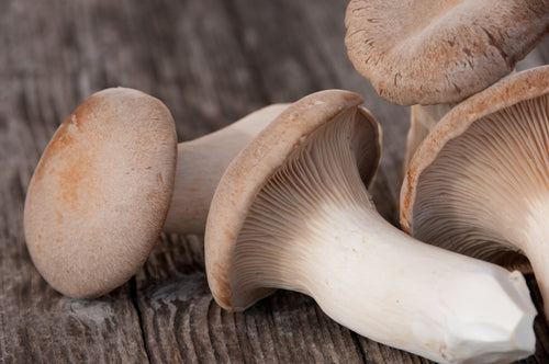 Reset- King Trumpet Mushrooms