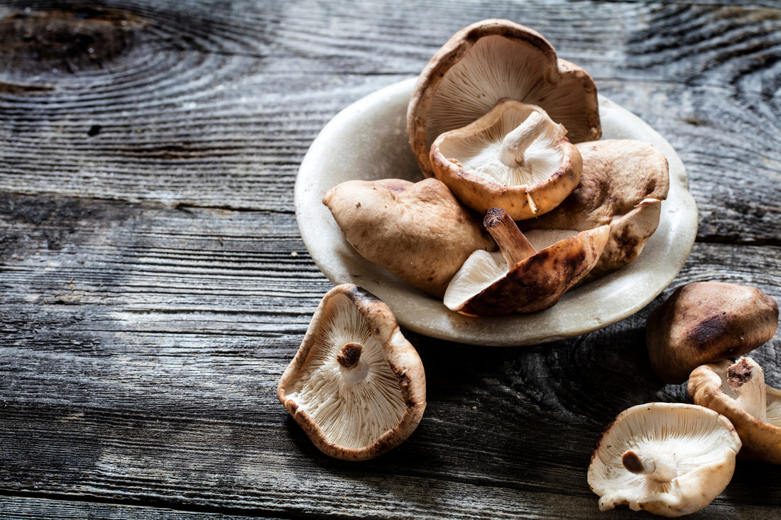 The Remarkable Health Benefits of Shiitake Mushrooms